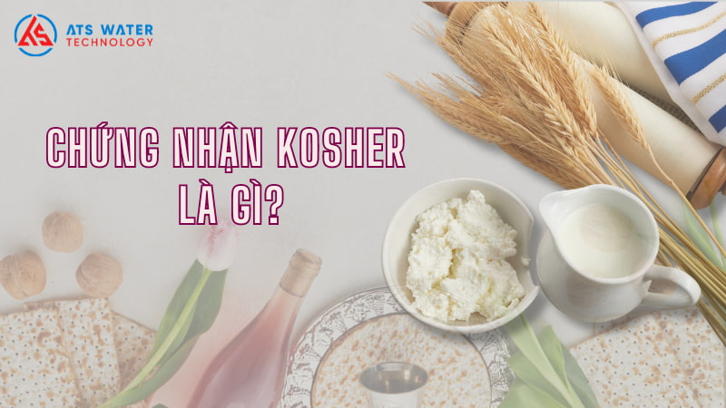 chung nhan kosher la gi