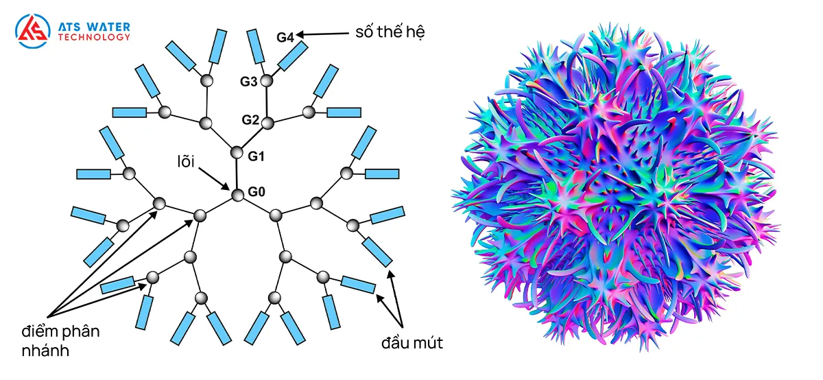 Cấu trúc Dendrimer 2D và 3D