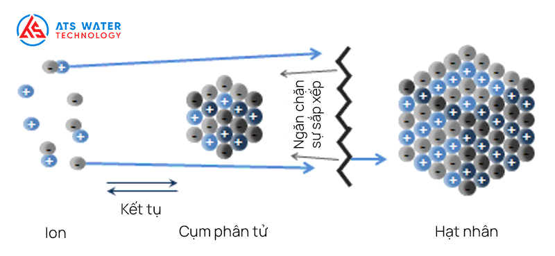 Cơ chế ngăn ngừa cáu cặn của Dendrimer