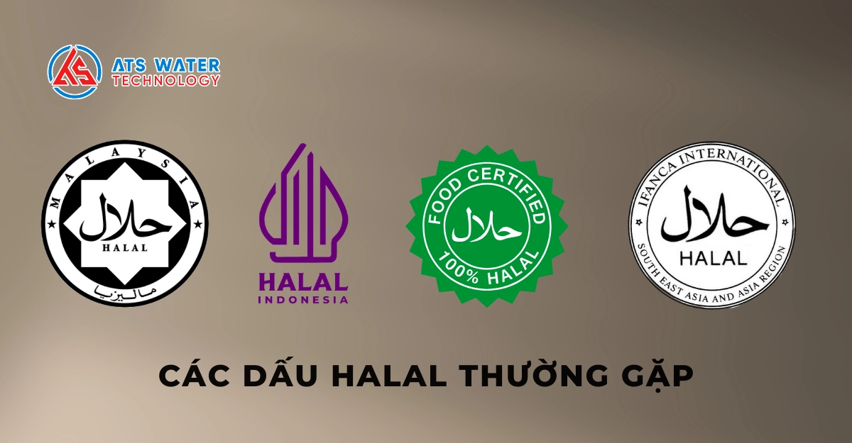 Các Chứng Nhận Halal Thường Gặp